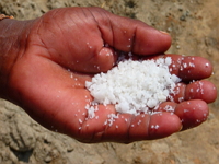O monopólio do sal foi uma das principais causas da Revolta do Sal